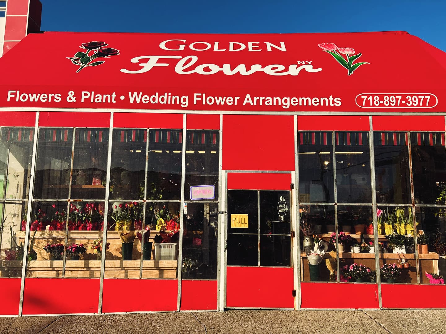 GoldenFlower - Image 1