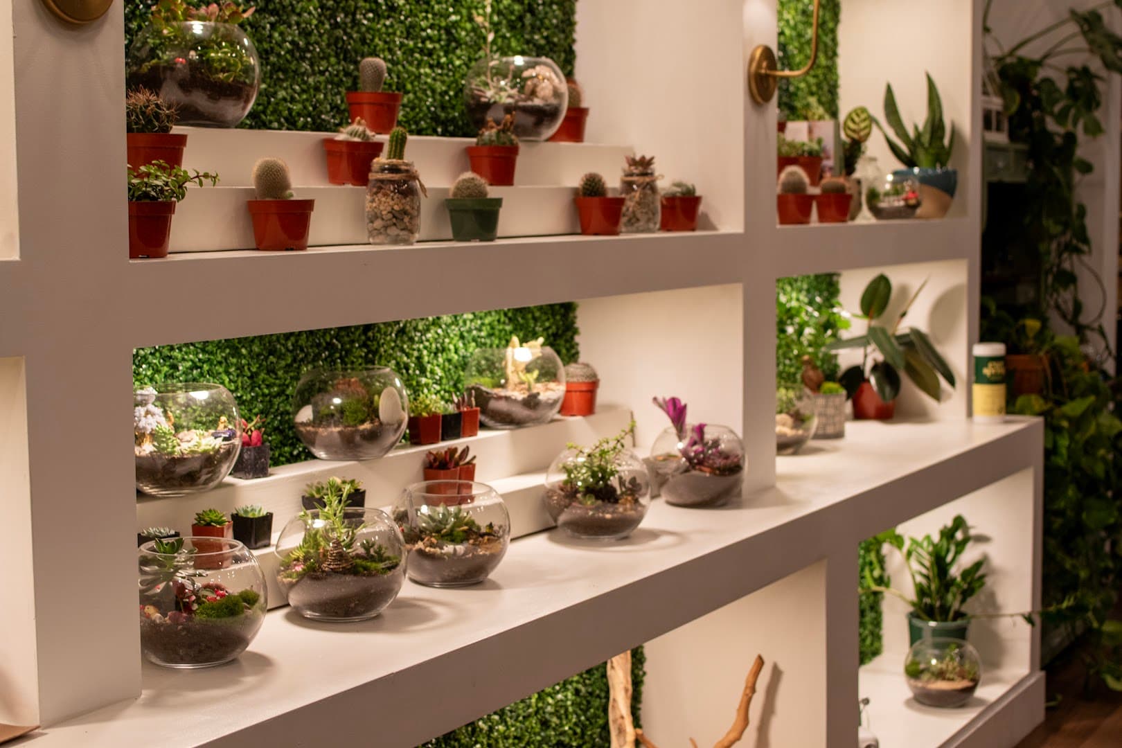 Plant Me Studio - Image 1