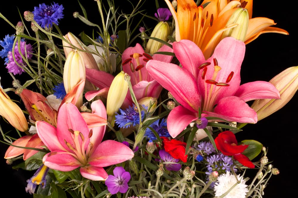 Sandy Run Florist - Image 1