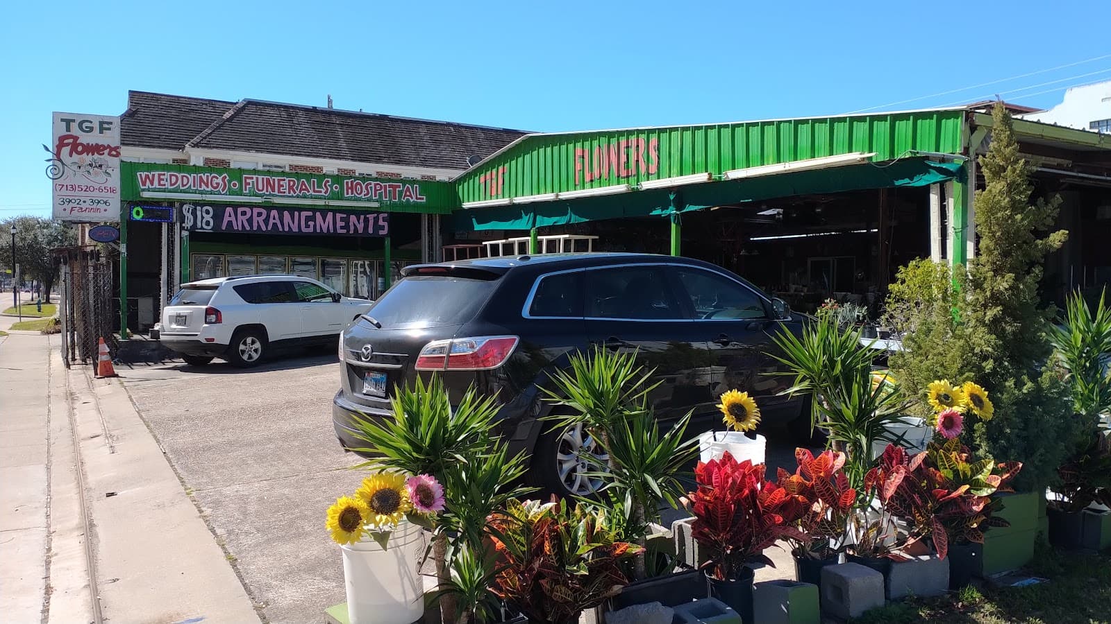 T. G. F. Flowers - Image 1