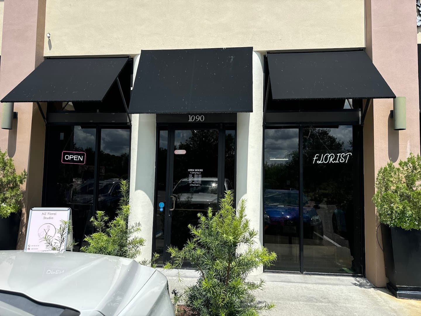 NZ Flowers - Image 1