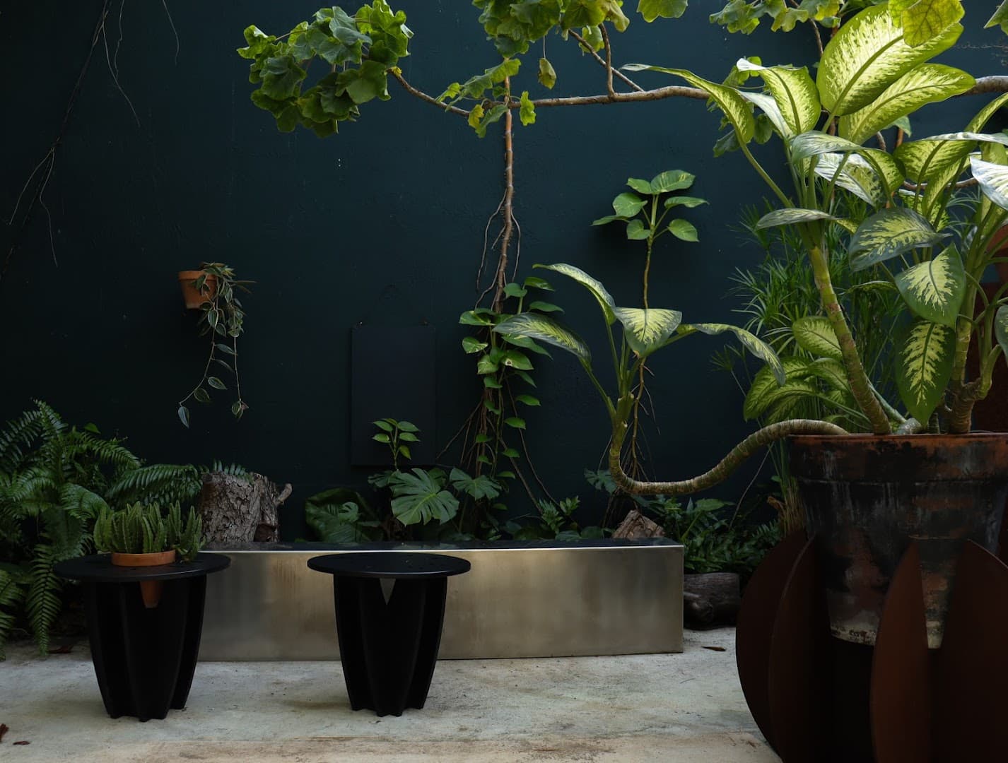 Plant Psyche - Image 1