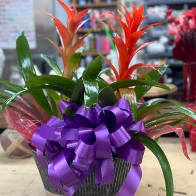 Jenilyn's Creations - Image 1