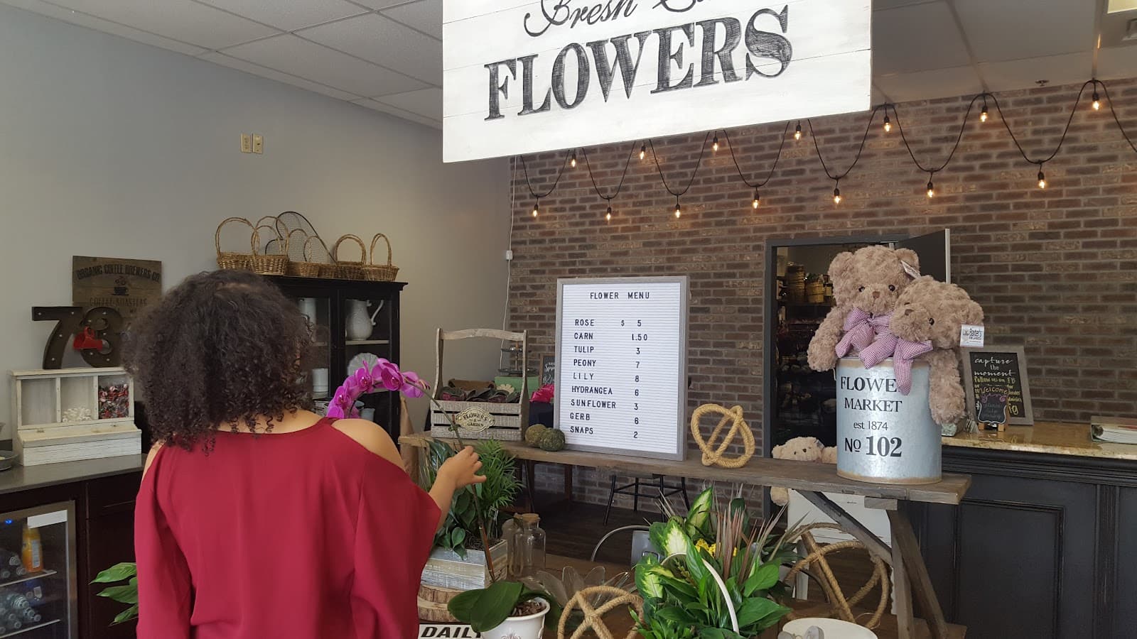 73 DAISIES - Image 1