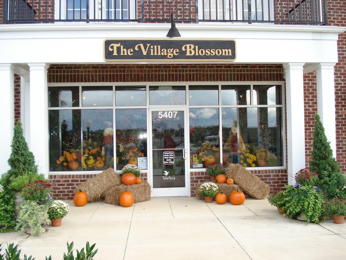 The Village Blossom - Image 1