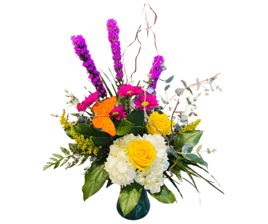 The Boston Fern - Image 1