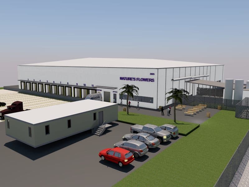 Nature's Flowers - Image 1