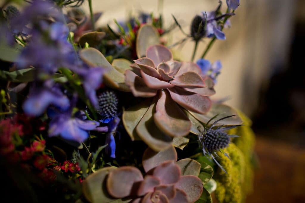 Shamrock Garden Florist Ltd. - Image 1