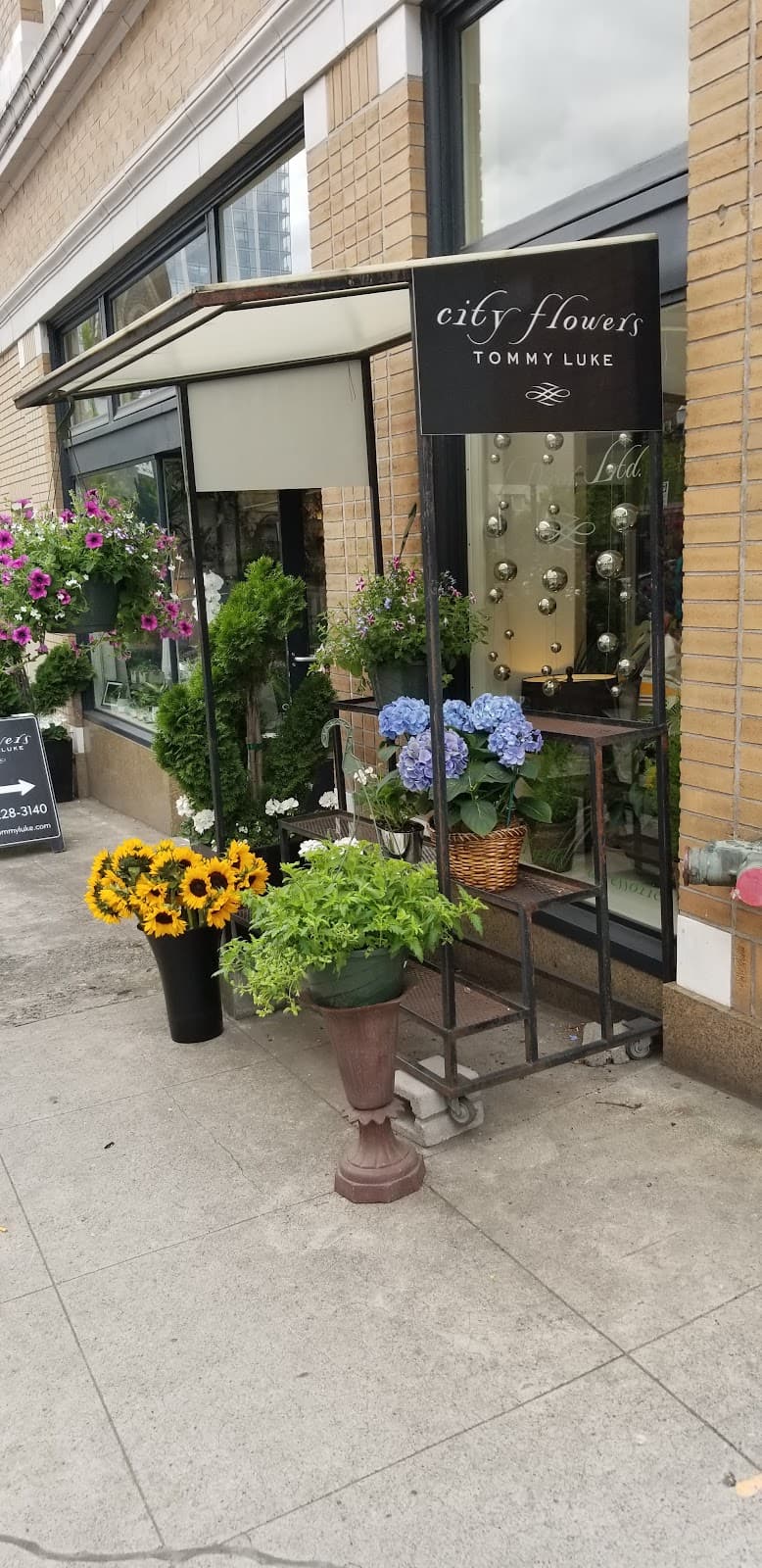 Flowers Tommy Luke - Image 1