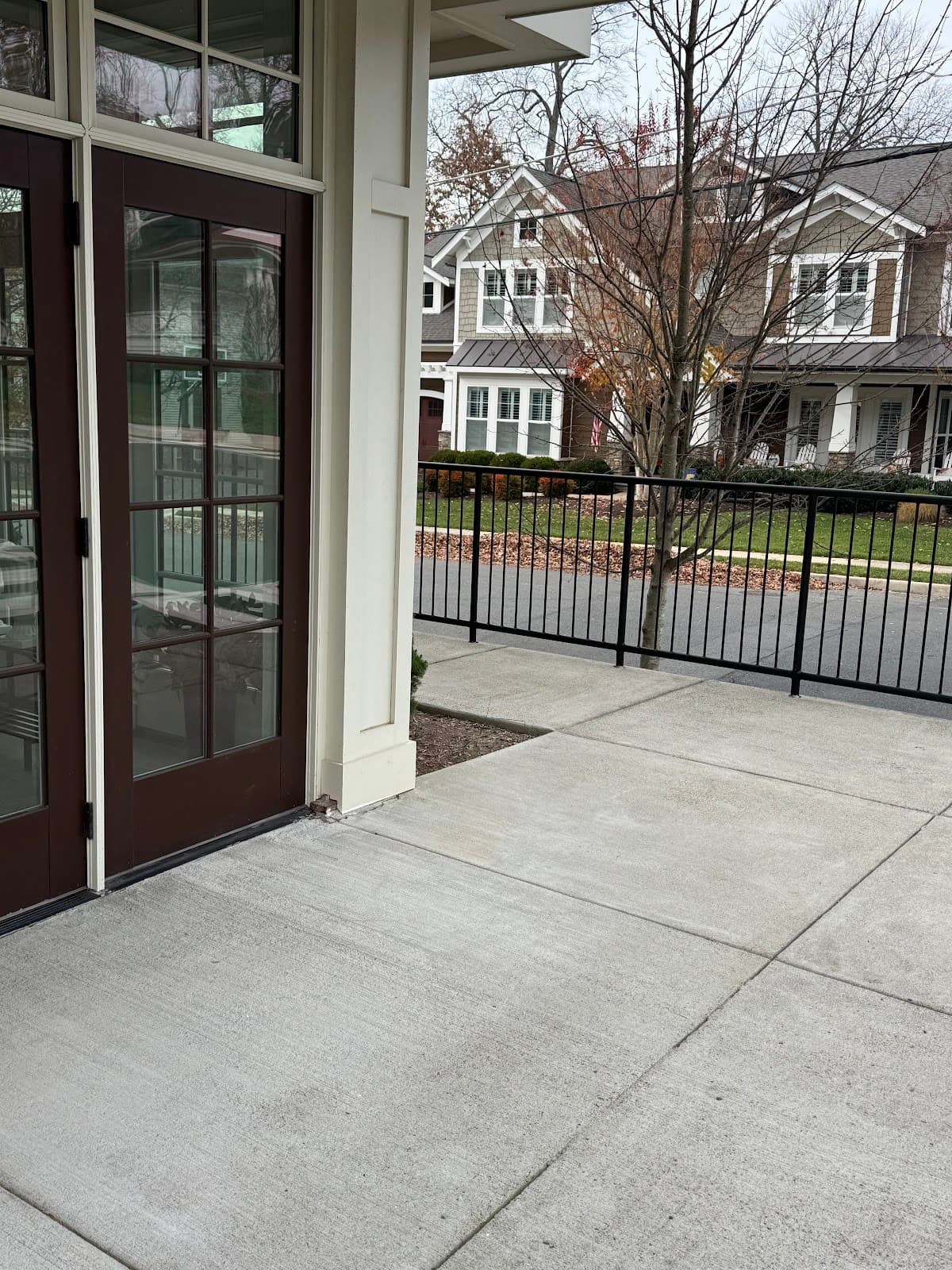 The day flower - Image 1