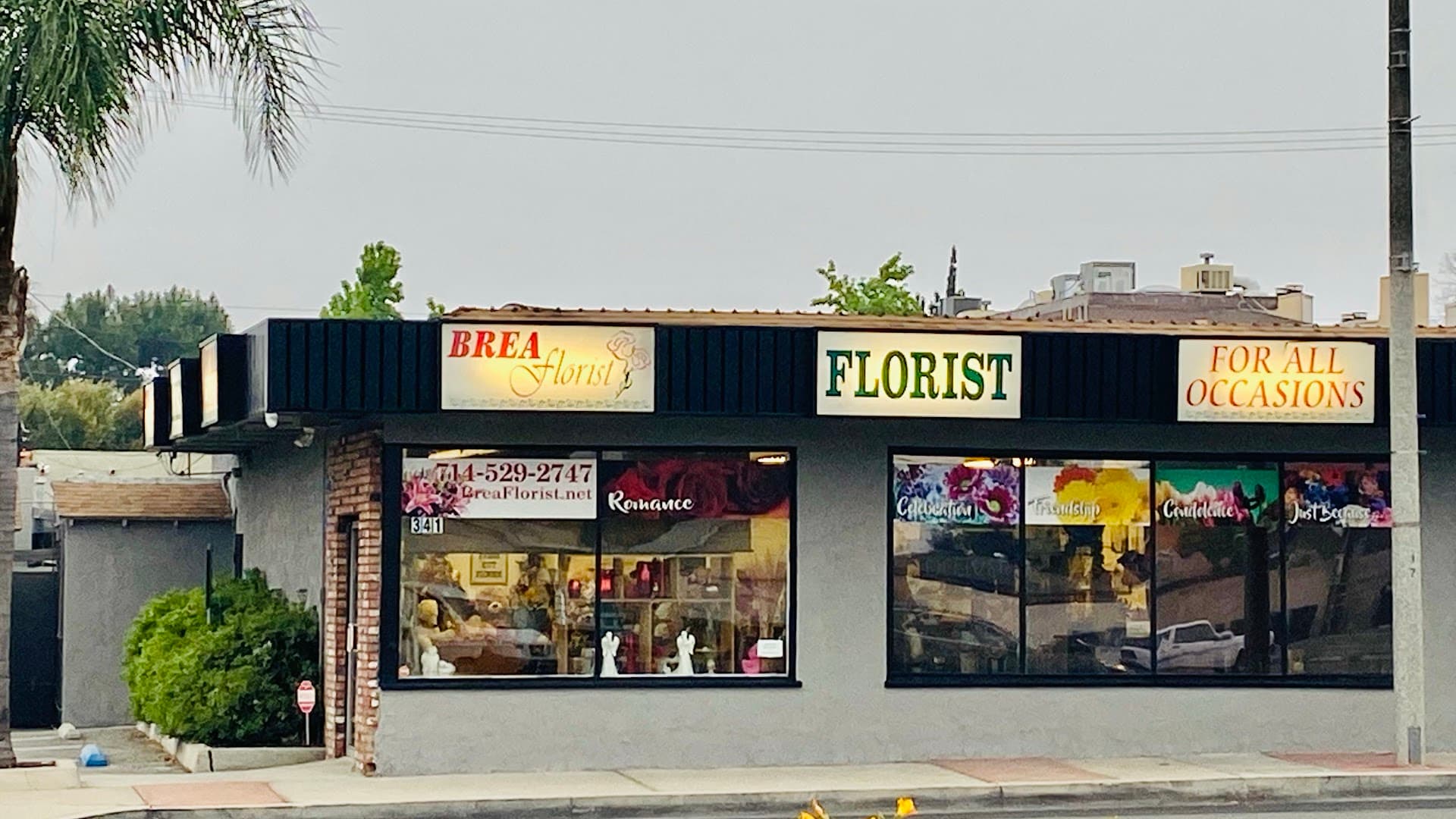Brea Florist - Image 1
