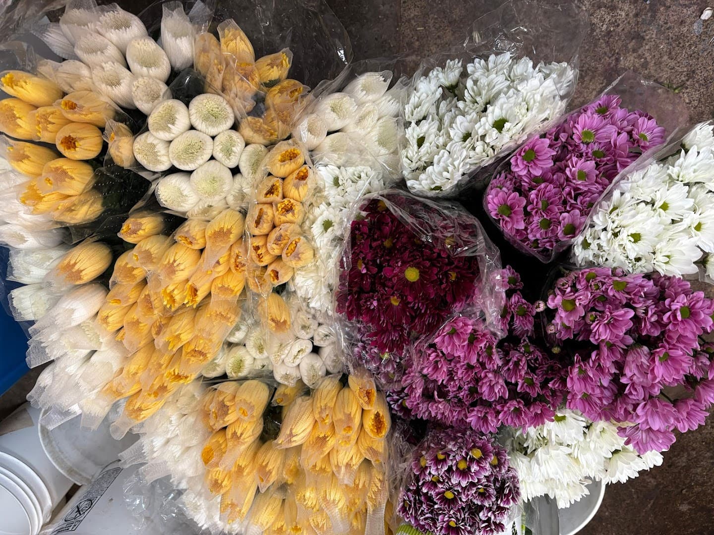 Bay Area Flower Market - Image 1