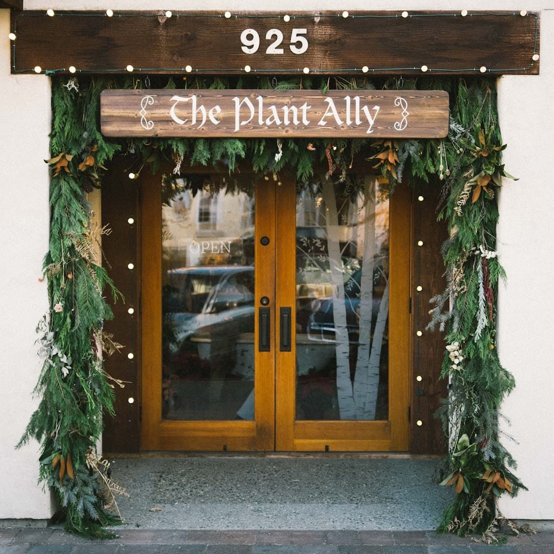 The Plant Ally - Image 1