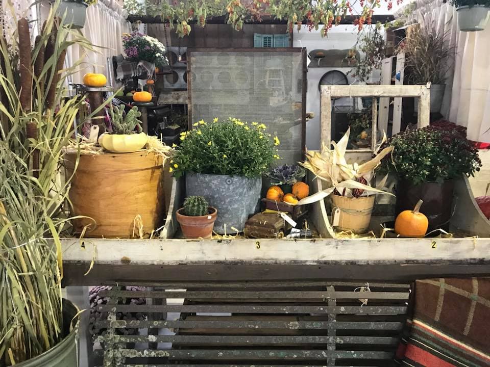 The Farmer's Daughters Flowers - Sidney Iowa - Image 1