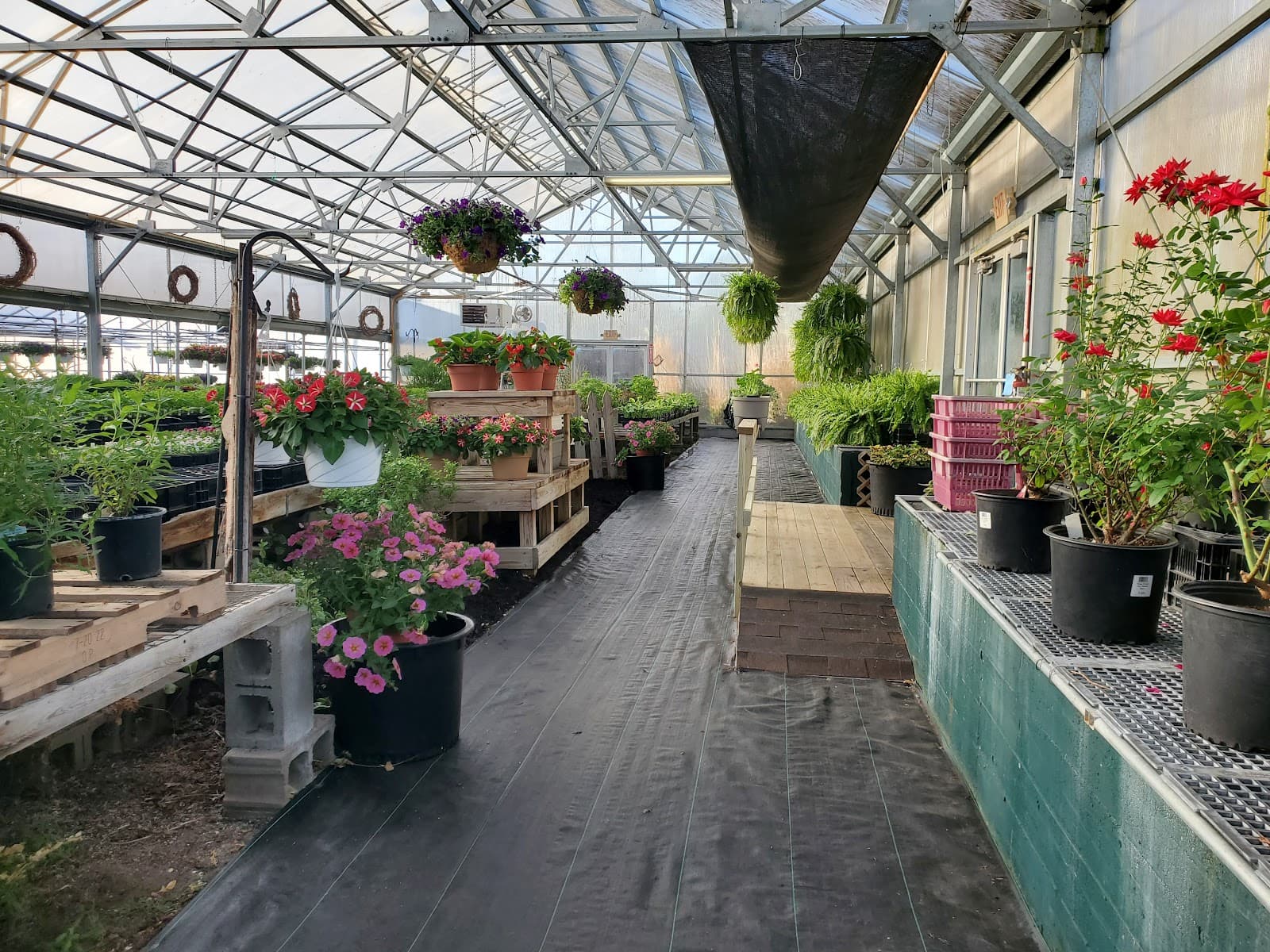 London Florist and Garden Center - Image 1