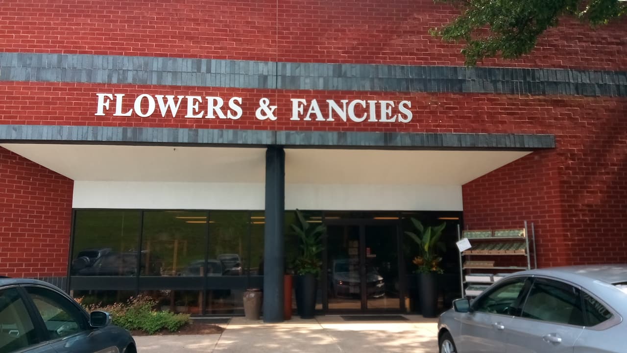 Flowers & Fancies - Image 1