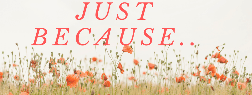 Just Because Flowers & Gifts - Image 1
