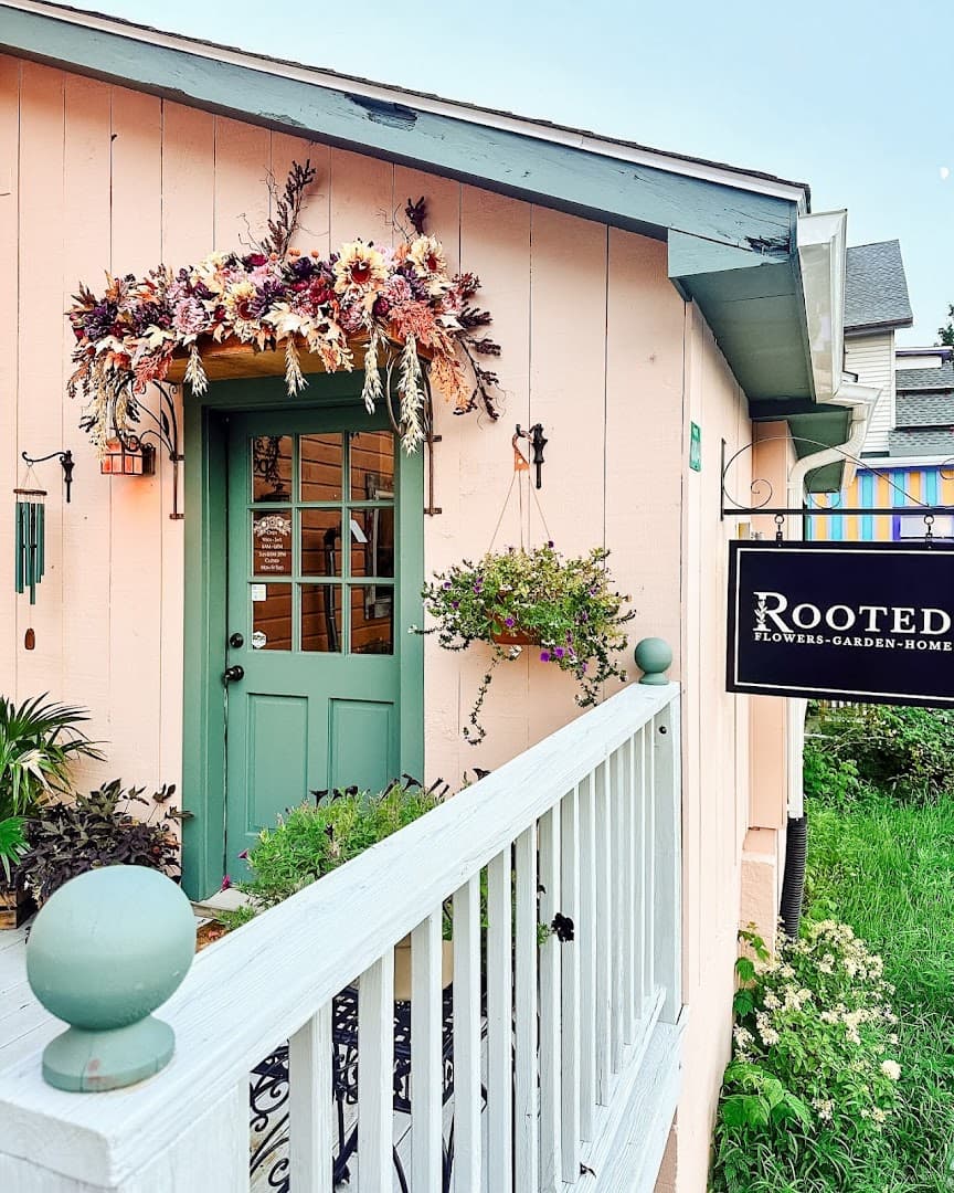 Rooted Flowers - Garden - Home - Image 1