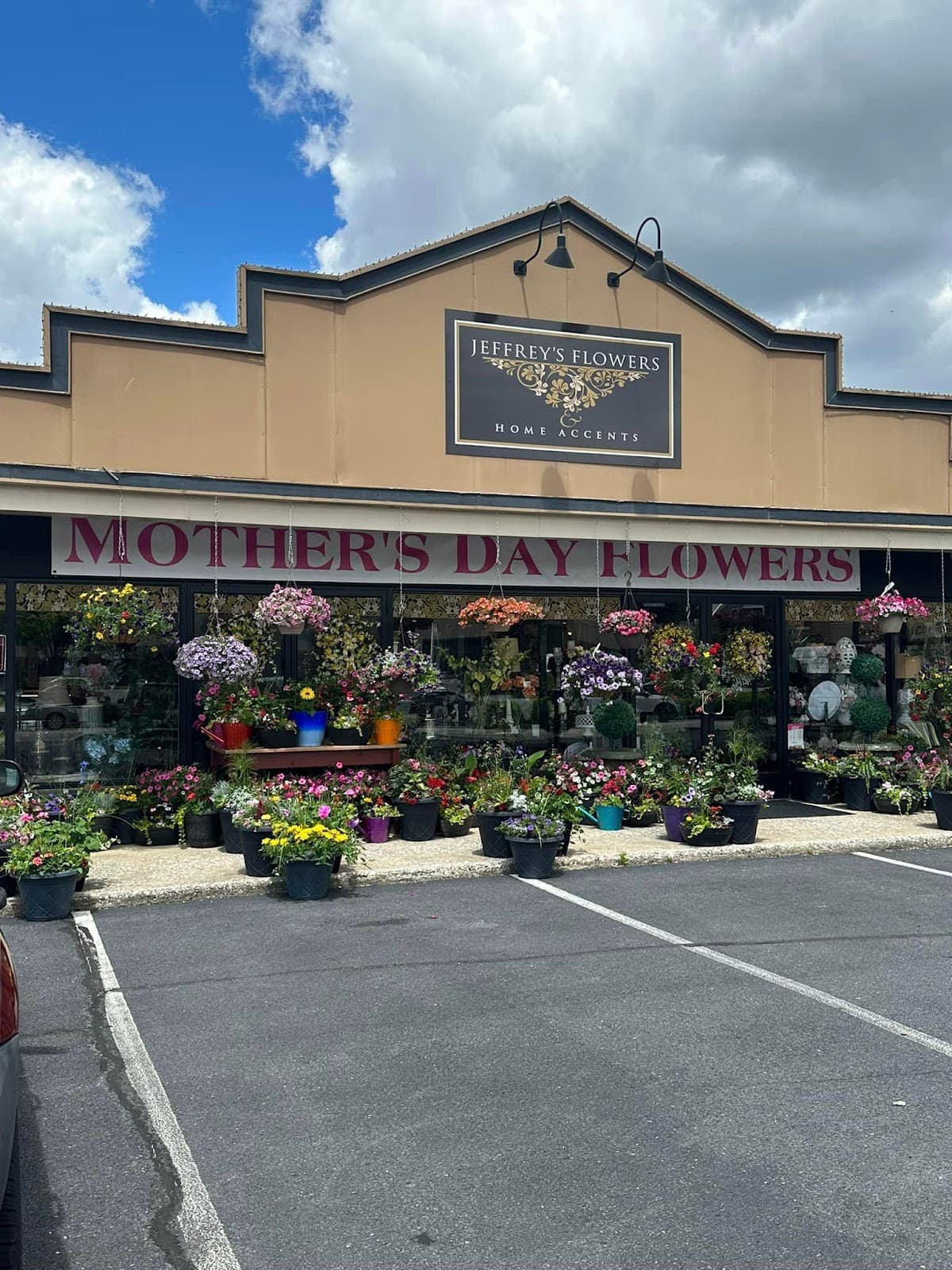 Jeffrey's Flowers - Image 1