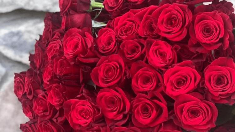 Buds & Blooms LLC - Image 1