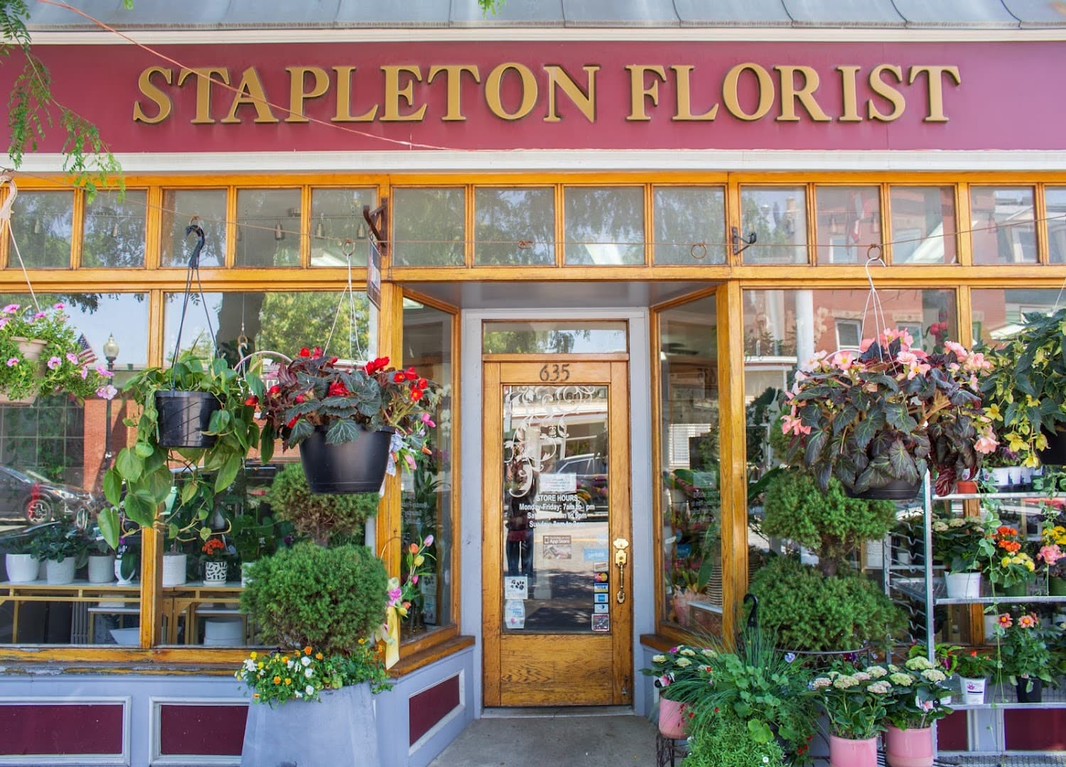 Stapleton Floral - Image 1