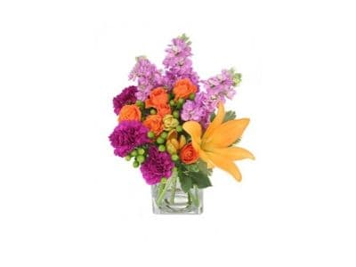 All Shirley Blooms - Image 1
