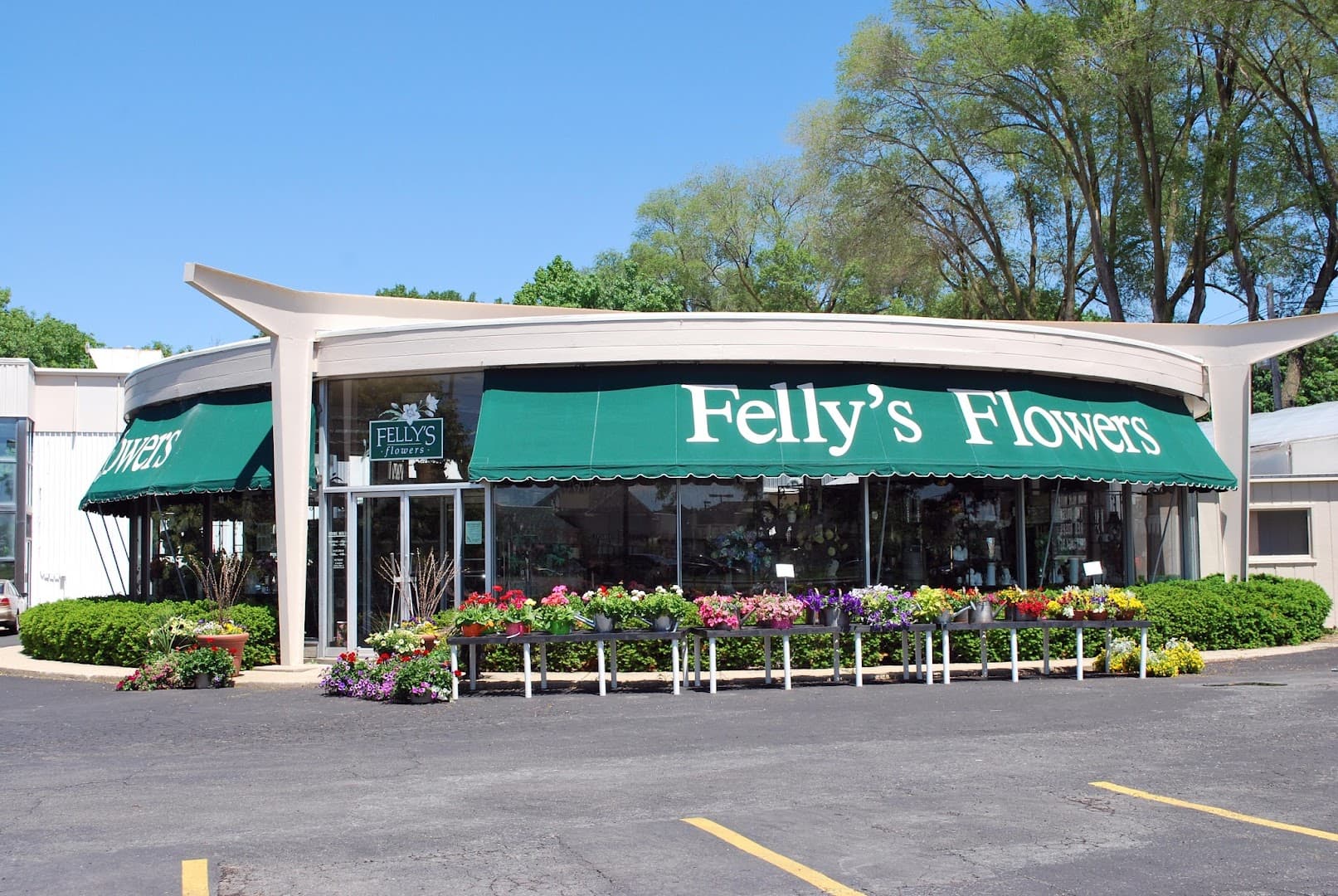 Felly's Flowers - Image 1