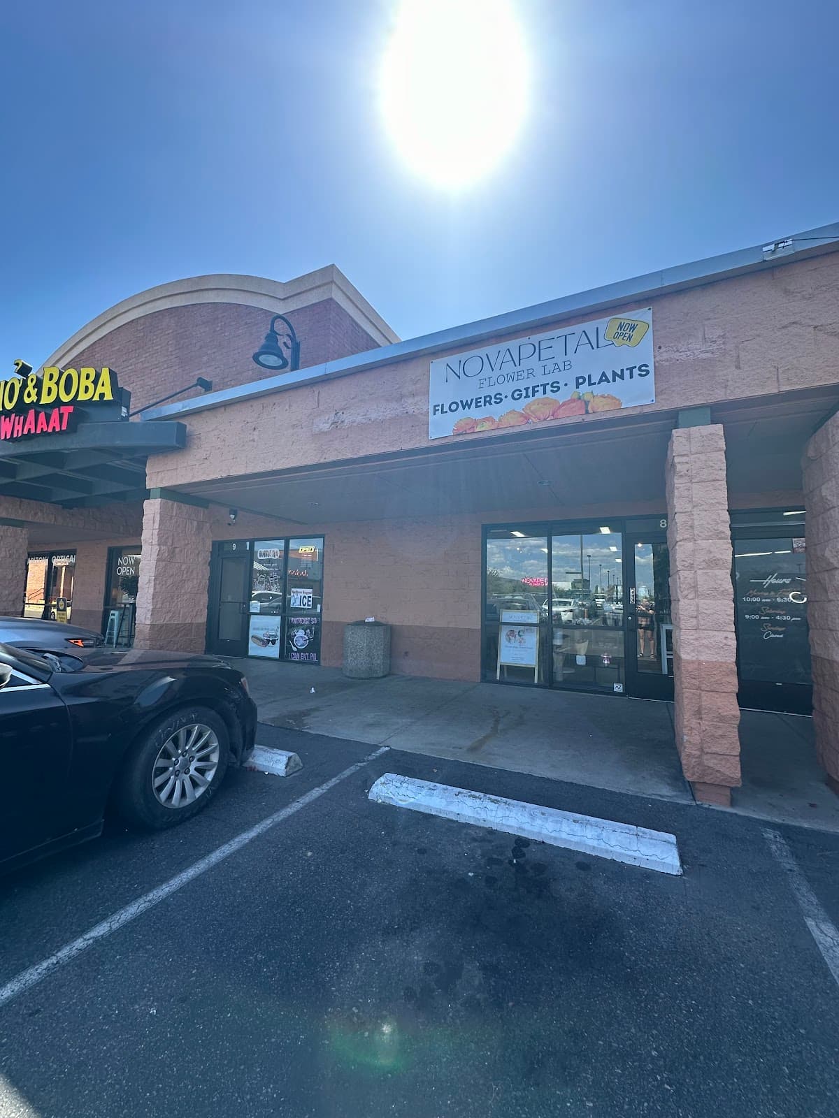 NovaPetal Flower Lab - Image 1