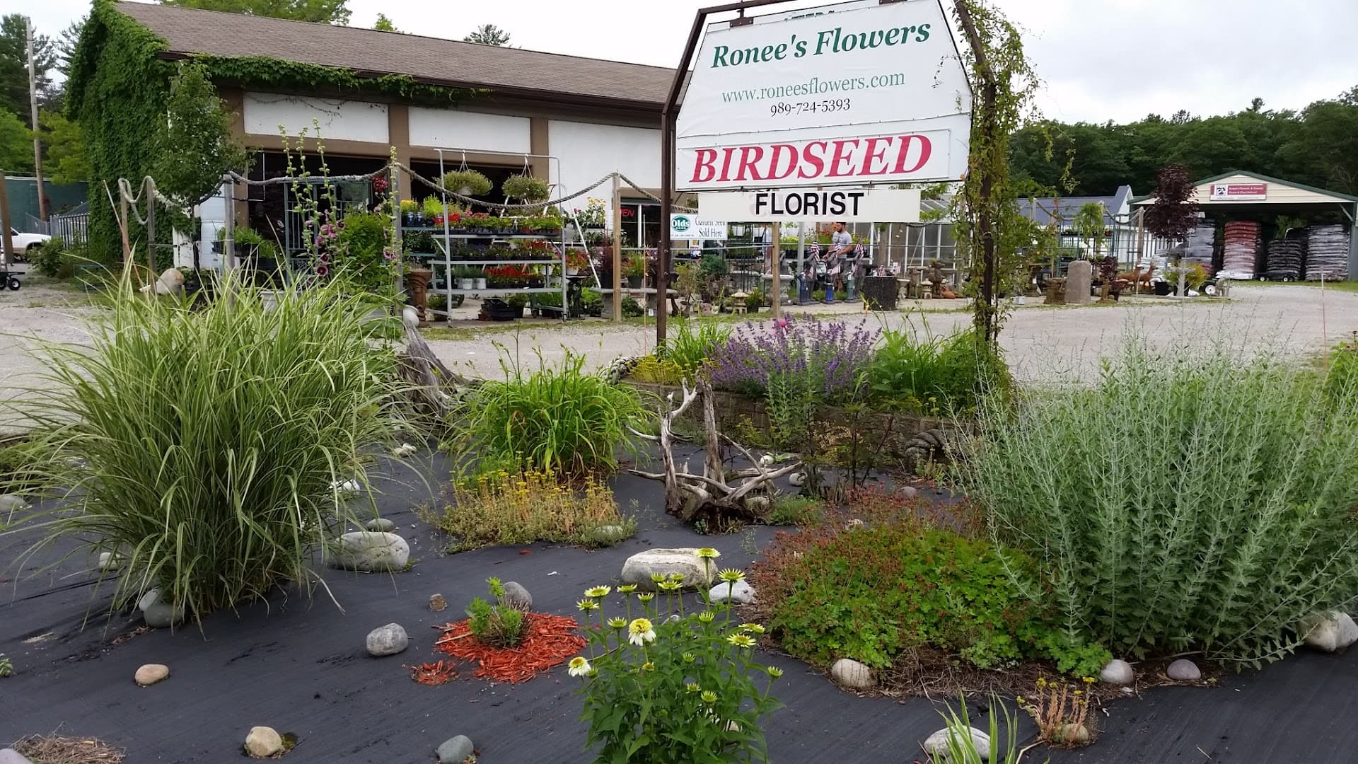 Ronees Flowers & Nursery - Image 1