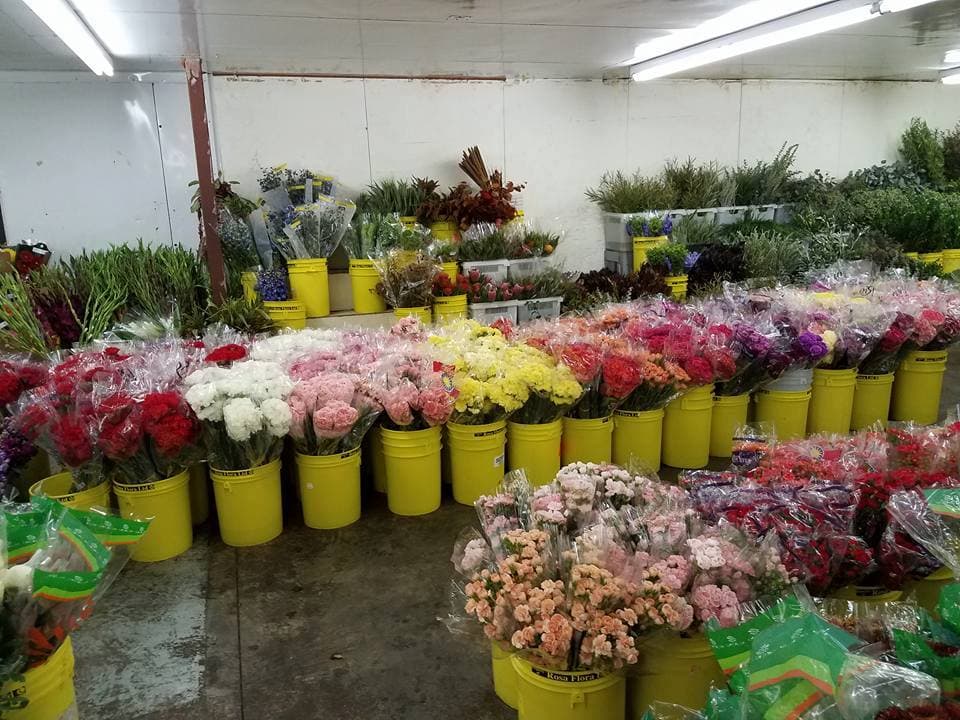 Dreisbach Wholesale Florists - Image 1