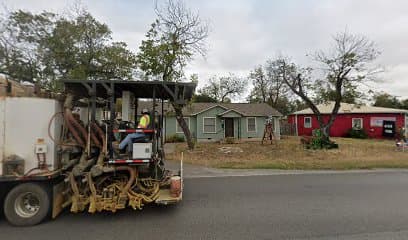 Texas State Wildflowers - Image 1