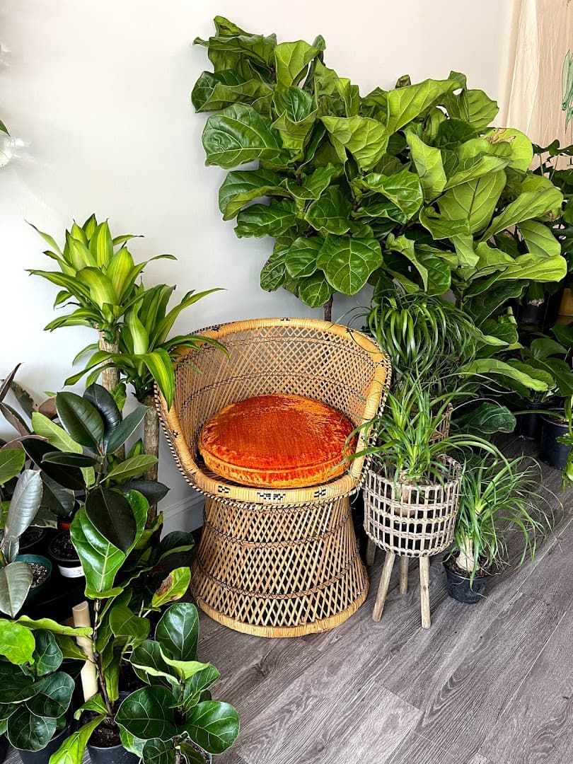 Emerald City Plant Shop - Image 1