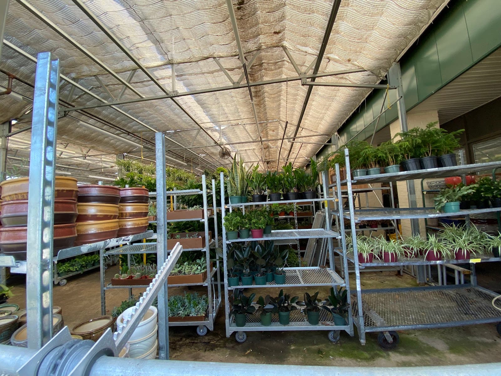 Bay State Farm Direct Flowers - Image 1