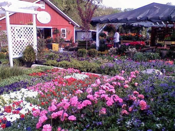 Bay Ridge Nursery - Image 1