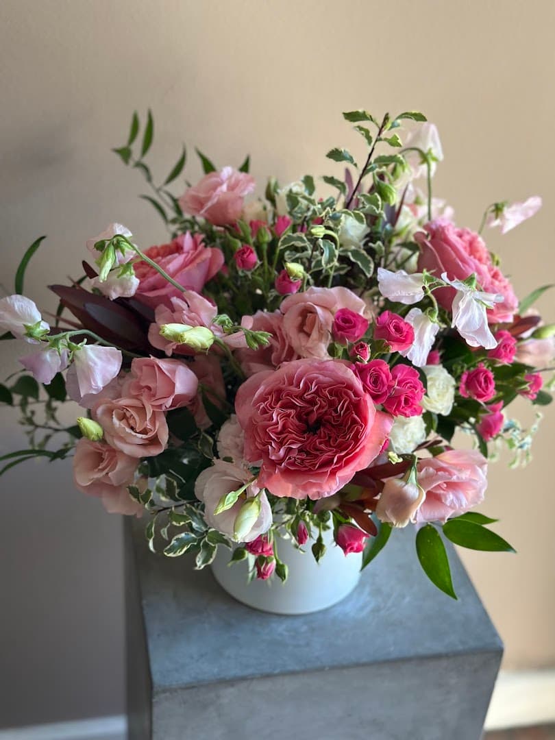 Dolce Blooms - Image 1