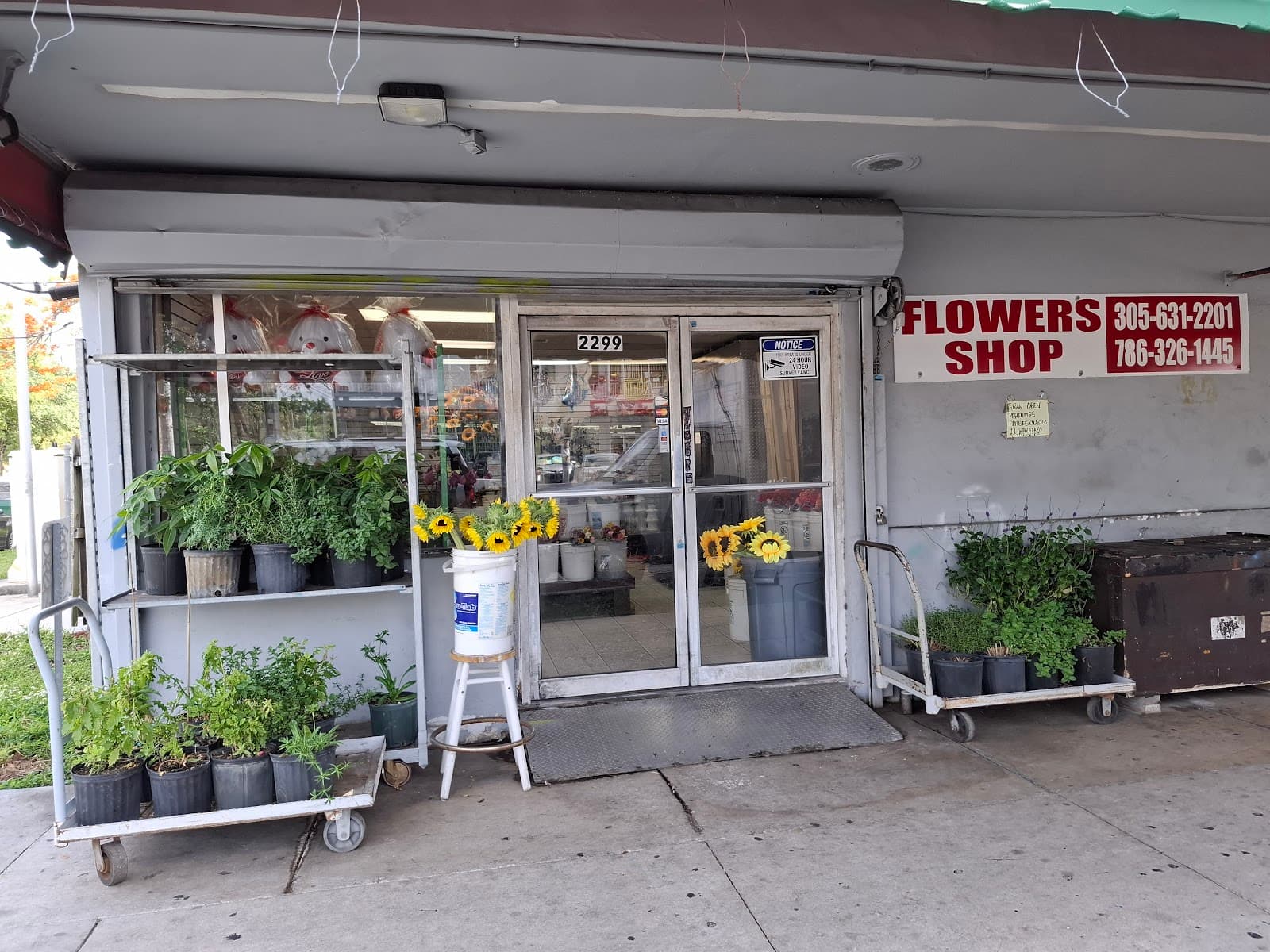 The Flowers Palace Of Miami - Image 1