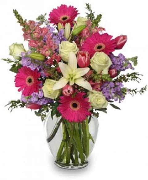 Cauley's Florist and Garden Center - Image 1