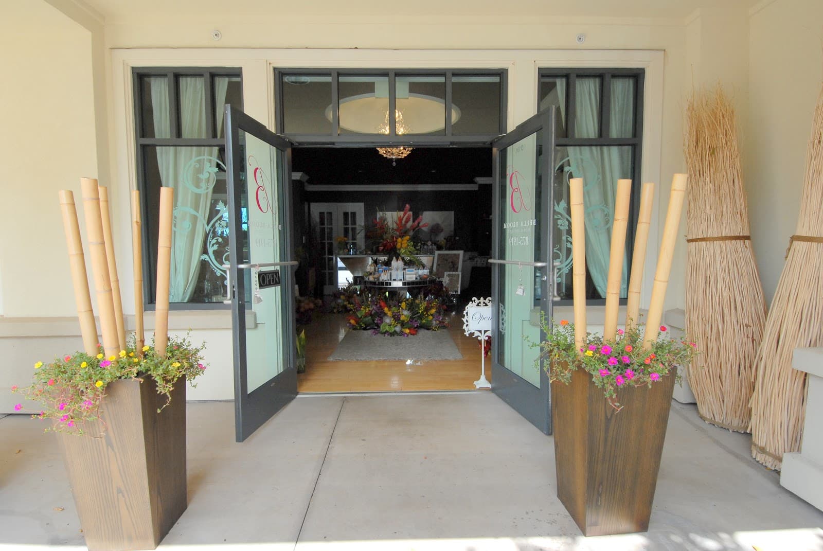 Bella Bloom - Image 1