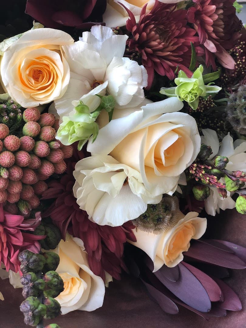 Consider the Lilies - Image 1