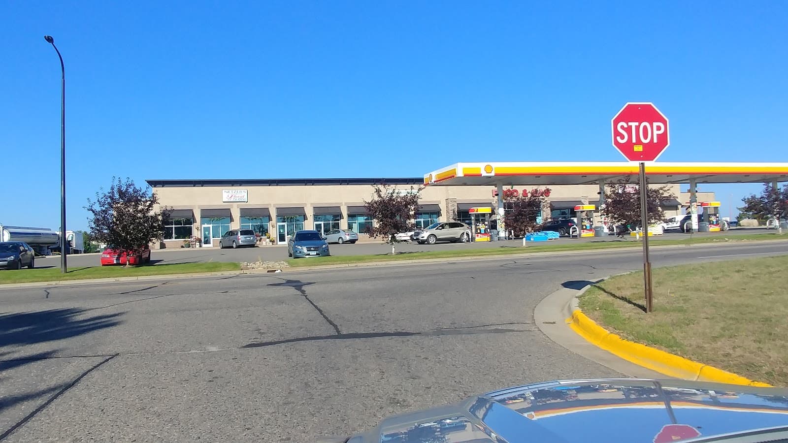 Netzer's Floral - Image 1