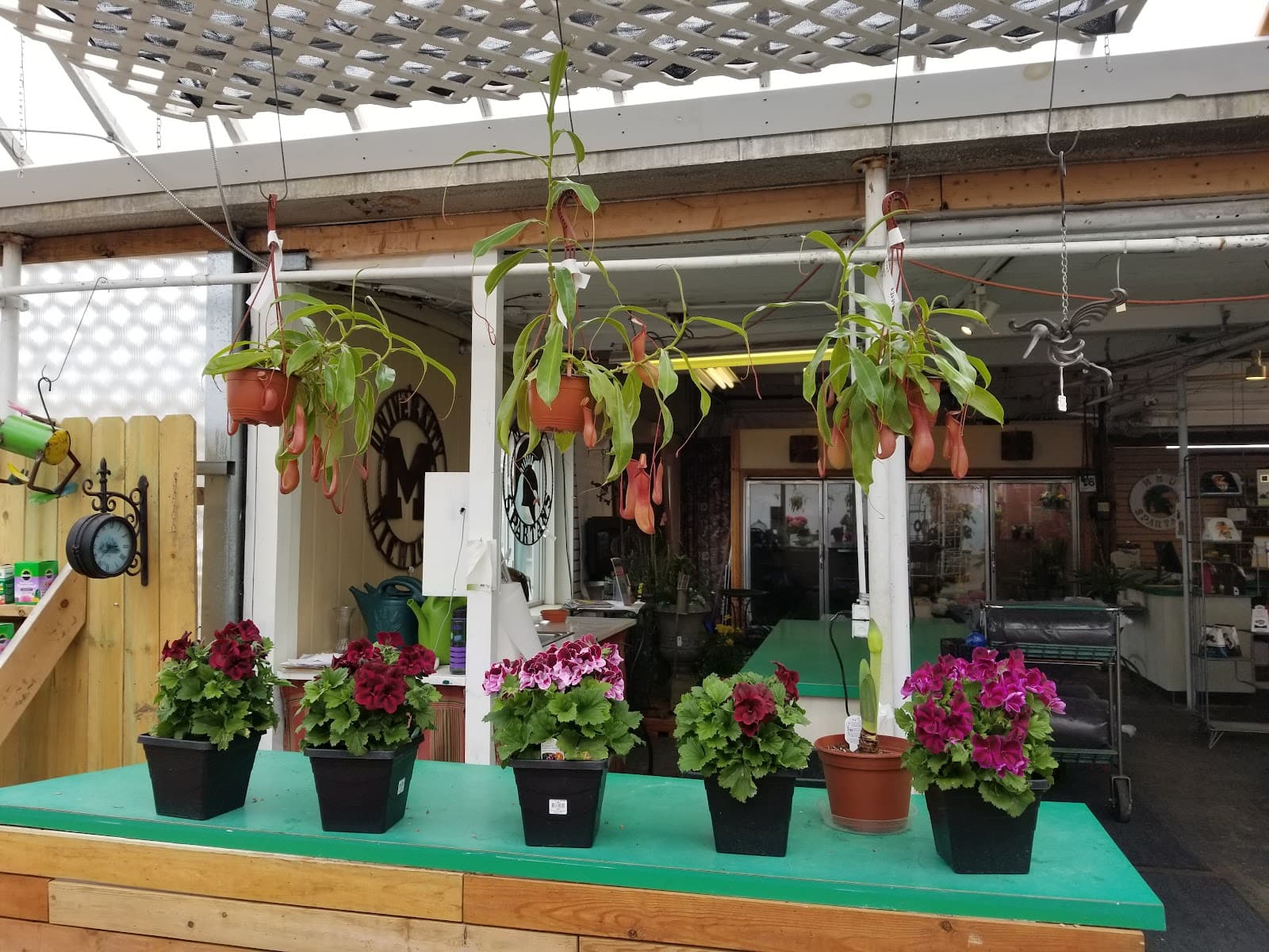 Smith Floral & Greenhouses - Image 1