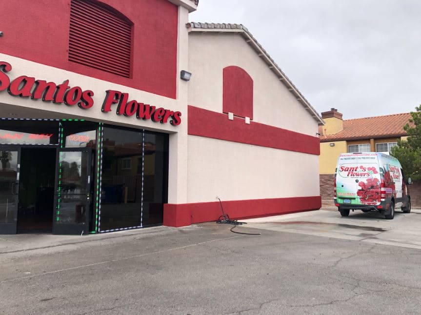 Santos Flowers - Image 1