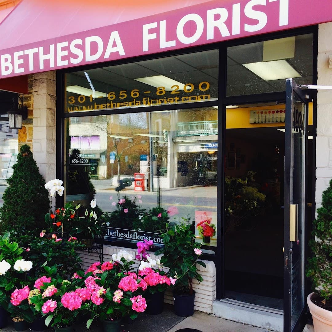 Bethesda Florist - Image 1