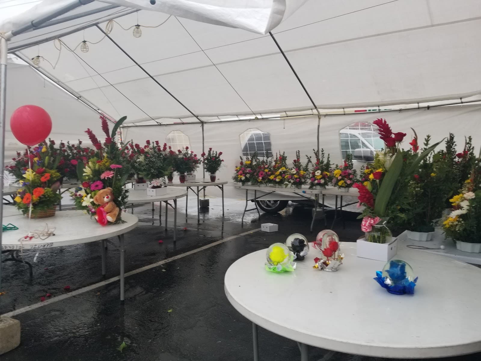 Beautiful Flowers - Image 1