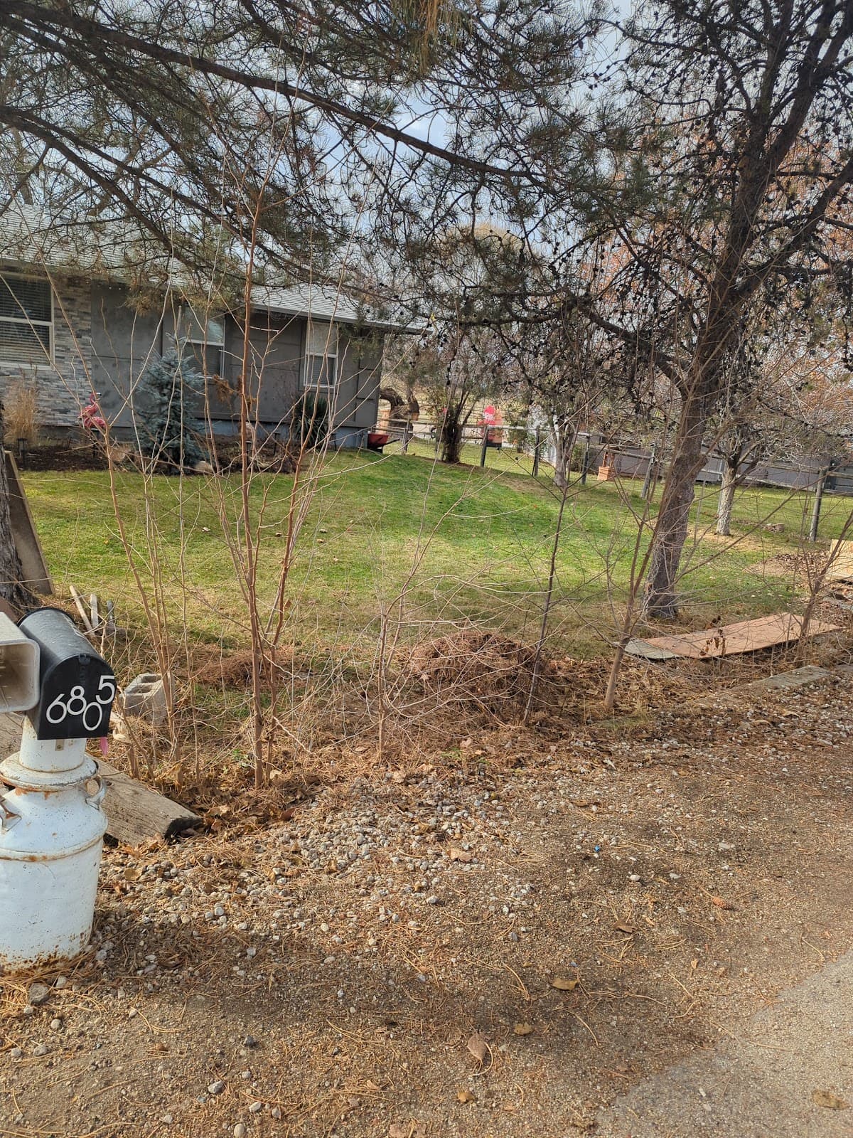 Idaho Flower Patch - Image 1