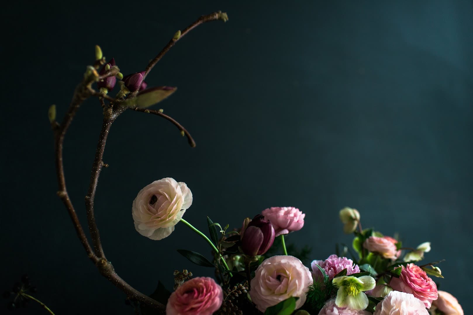 Molly Taylor and Co. - Image 1