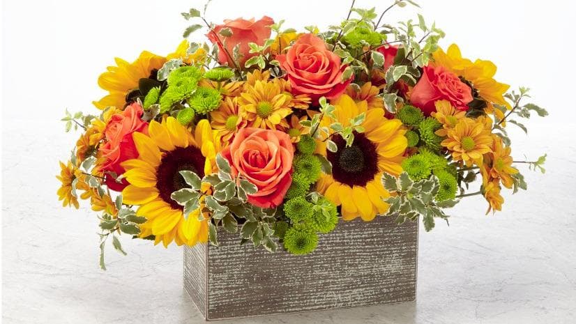 Designs By Diana & Company - Image 1