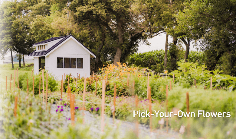 Royal Oaks Farm - Flowers - Image 1