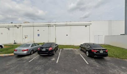 Bellissimo Preserved Roses & Flowers Wholesale - Image 1