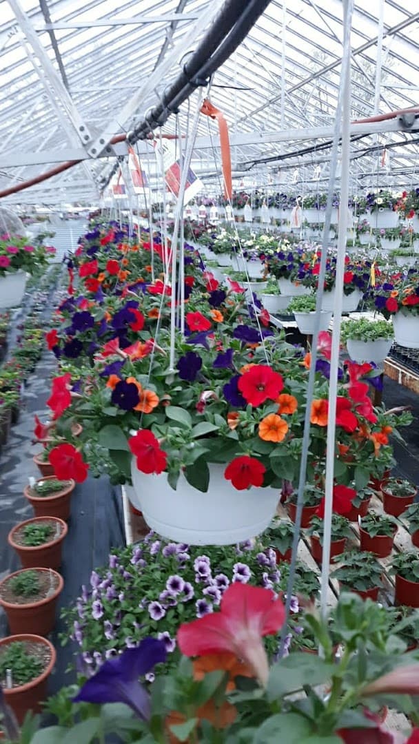 Flowers On Main - Image 1